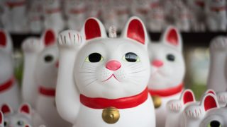 招き猫の群れ